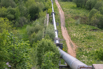 A large communication pipe is laid among the trees. Heat supply of urban and industrial facilities.  Centralized heat supply system for heating during the cold season. Pipes of heating networks.