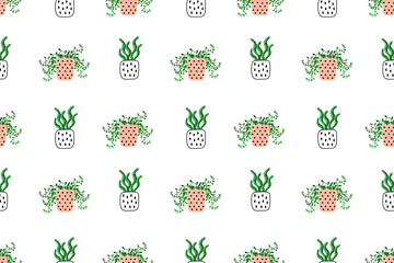 Seamless floral pattern. Various flower pots with houseplants. Pink, black and green color. For background, packaging, textiles, wallpapers or websites. Flat cartoon design.