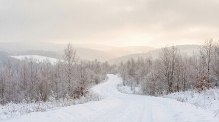 Serene Winter Landscape with Snow-Covered Road Winding Through Frosted Trees and Rolling Hills Under a Softly Lit Overcast Sky at Dawn