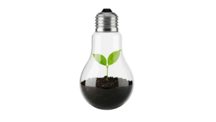 Light bulb with plant inside isolated PNG, concept of green energy and environmental conservation, sustainable future