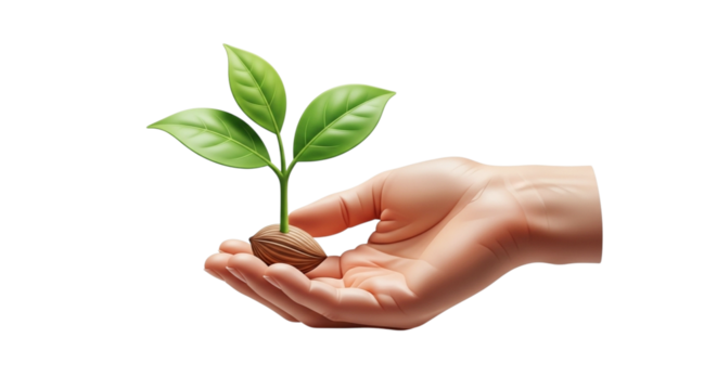 hand holding small green plant with leaves growing from seed - Powered by Adobe