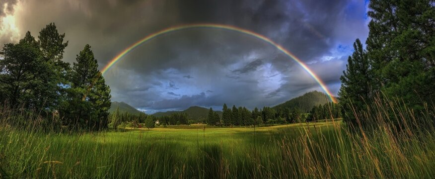 The Rainbow Arching Over a Lush Meadow Under Dramatic Storm Clouds and Pines - Powered by Adobe