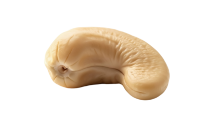 Delicious cashew nut isolated PNG on transparent background, healthy snack food rich in nutrients and vitamins for vegan diet