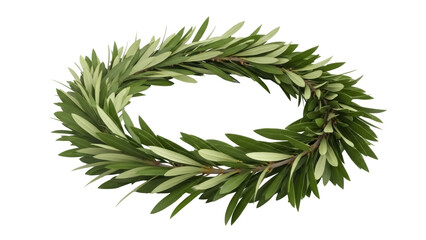 Olive branch wreath PNG isolated on transparent background, symbol of peace and victory for graphic design and decoration © Irina