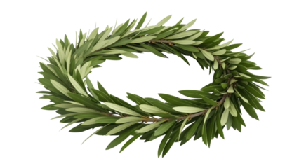 Olive branch wreath PNG isolated on transparent background, symbol of peace and victory for graphic design and decoration