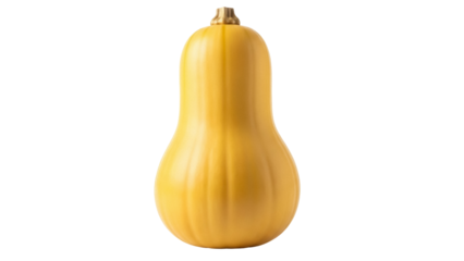 Butternut squash isolated PNG on transparent background, fresh whole vegetable with smooth tan skin and sweet nutty flavor for cooking and autumn themes