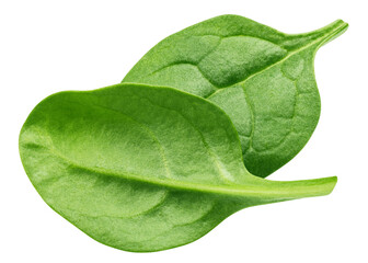 Spinach isolated, full depth of field