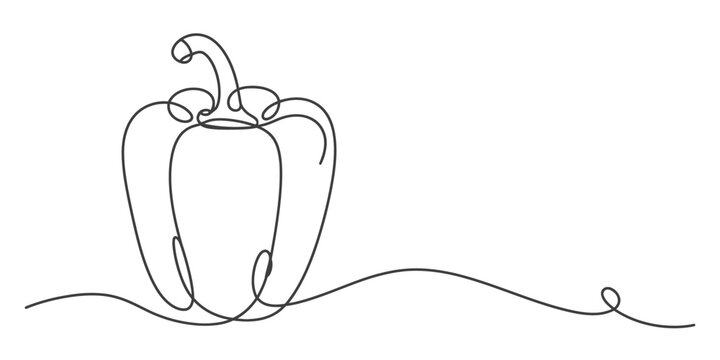 Single line drawing of a bell pepper on a white background Vector, illustration