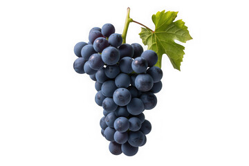 Fototapeta premium Grapes isolated on transparent or white background, png