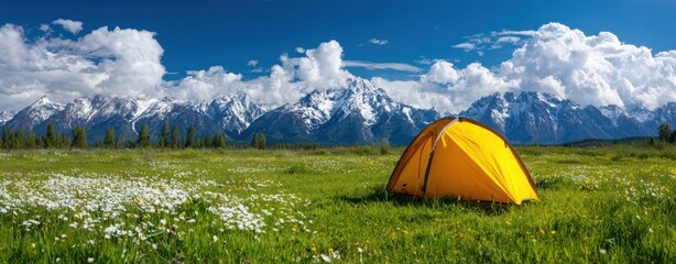 The Yellow Tent in a Wildflower Meadow with Snowy Mountain Peaks and Blue Sky