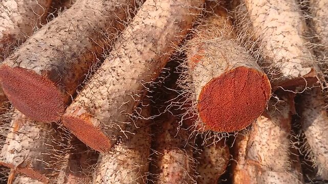 Close up video of Chinese yams