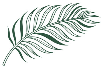 Obraz premium Palm Leaf Isolated Clean Vector Art Pure White B (1) Vector Illustration
