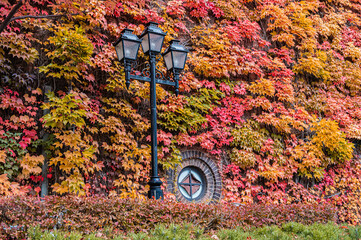Autumn Foliage Covered Red Brick Building at Sapporo Factory, Hokkaido, Japan
