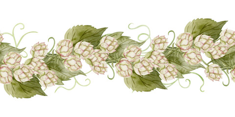 Watercolor hops vine with flowers and leaves seamless border isolated on white. Realistic garden liana plant in vintage botanical style. Green creeper repeat banner, detailed drawing