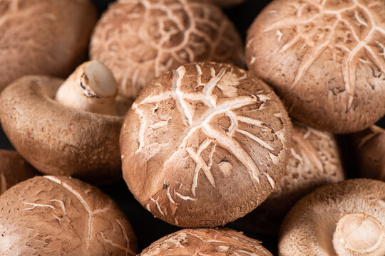 closeup of shiitake mushrooms background.
