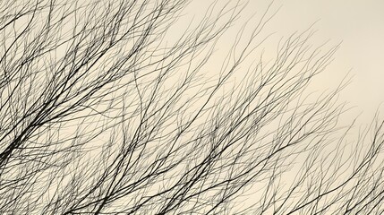 Wind-Leaning Winter Branch Pattern