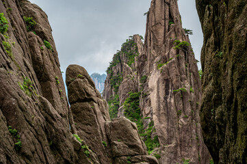 Beautiful view on the trail of Mount Huangshan, gorgeous rocks and strange pine in the mountain, in Anhui Province, China.