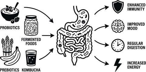 Gut Health Food Benefits Vector Illustration