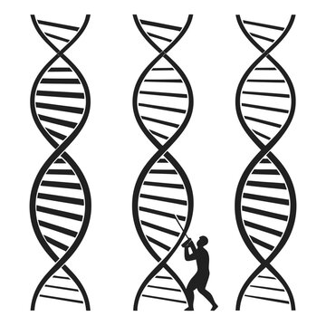 Dna strand exploration