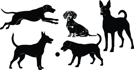 Black dog silhouettes set, running jumping playing sitting standing poses, domestic pets graphics, canine silhouettes collection, isolated animal outlines, puppy play ball vector