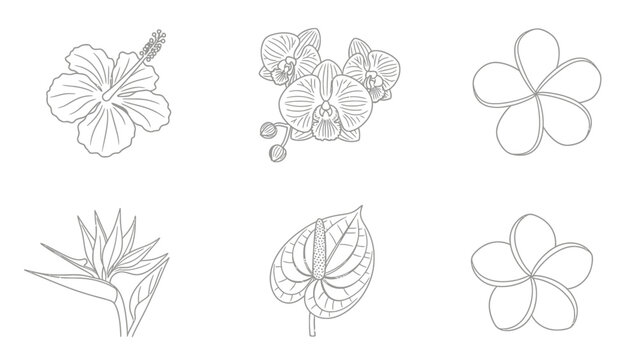 Monochrome line art collection of tropical flowers featuring hibiscus, orchids, plumeria, bird of paradise, and anthurium against a clean white background