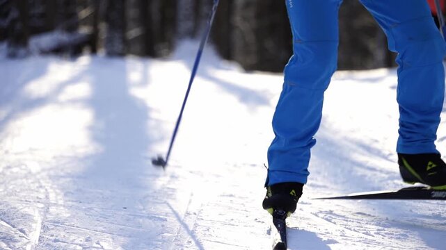 Skiers in the park cross-country skiing