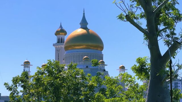 Brunei Darussalam - June 25, 2025: Sultan Omar Ali Saifuddin Mosque in Bandar Seri Begawan. Mosque with baobab trees in the foreground. Mosque facade and dome in sunlight. 4К