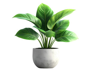rendered green plant in a simple modern pot realistic leaf textures with natural
