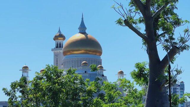 Brunei Darussalam - June 25, 2025: Sultan Omar Ali Saifuddin Mosque in Bandar Seri Begawan. Mosque with baobab trees in the foreground. Mosque facade and dome in sunlight. 4К