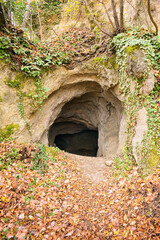 Cave entrance at Stari Grad in old historic city Krapina, Croatia, Hrvatsko zagorje, nature background, Neanderthal, Palaeolithic archaeological site