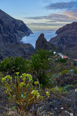 Masca village in morning mist