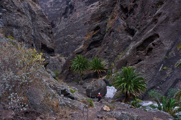 Steep cliffs of Masca gorge