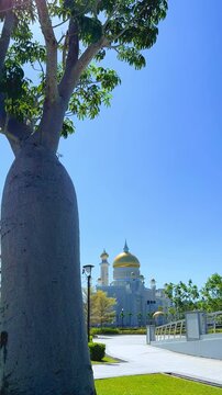 Brunei Darussalam - June 25, 2025: Sultan Omar Ali Saifuddin Mosque in Bandar Seri Begawan. Mosque with baobab trees in the foreground. Mosque facade and dome in sunlight. 4К