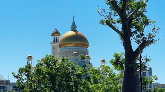 Brunei Darussalam - June 25, 2025: Sultan Omar Ali Saifuddin Mosque in Bandar Seri Begawan. Mosque with baobab trees in the foreground. Mosque facade and dome in sunlight. 4К