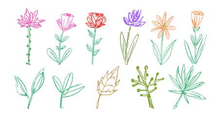 kid pencil doodle hand drawing crayon, wax, pencil, chalk or charcoal texture. childlike flowers and plants and leaves illustration. messy and colorful vector art	
