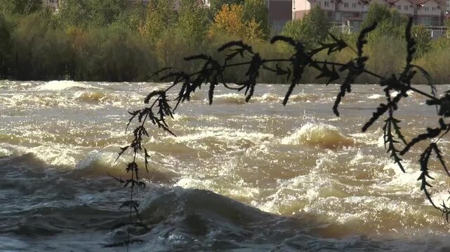 Stormy Mongolian river Tuul gol.
