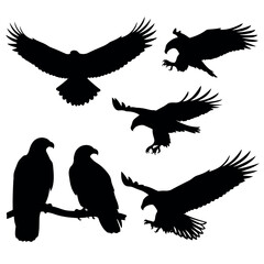 Obraz premium Majestic Eagle Silhouettes in Various Poses.