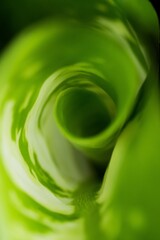 Fibonacci essence in nature; the growth spiral of the dumbcane leaf; Dieffenbachia Seguine