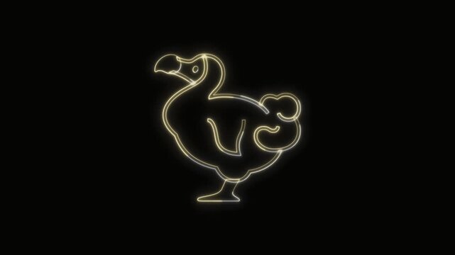 Dodo Animal Icon Neon Seamless Loop 4K with Black Background Animated Promotional Typography for Video Editing