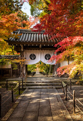 Fototapeta premium The entrance to Komyo-ji, a temple complex in Kyoto Japan taken in autumn