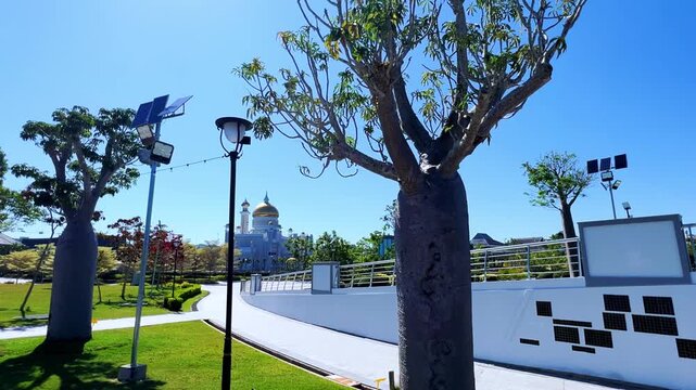 Brunei Darussalam - June 25, 2025: Sultan Omar Ali Saifuddin Mosque in Bandar Seri Begawan. Mosque with baobab trees in the foreground. Mosque facade and dome in sunlight. 4К