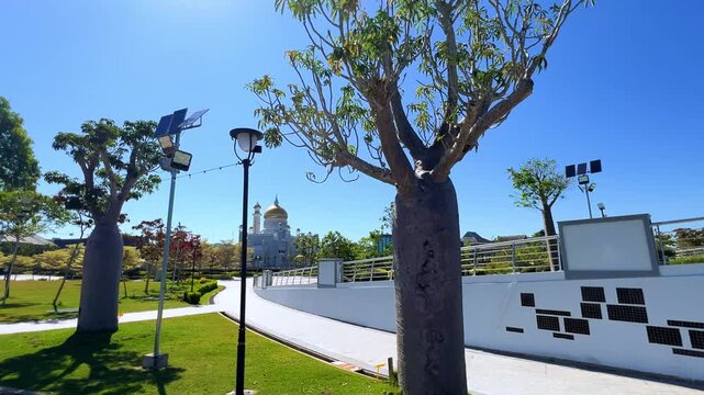 Brunei Darussalam - June 25, 2025: Sultan Omar Ali Saifuddin Mosque in Bandar Seri Begawan. Mosque with baobab trees in the foreground. Mosque facade and dome in sunlight. 4К