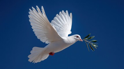 A white dove with an olive branch in its beak flies against a vivid blue sky background