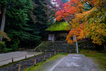 Honen-In temple complex in autumn in Kyoto, Japan