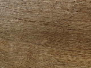 Old wood texture
