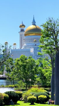 Brunei Darussalam - June 25, 2025: Sultan Omar Ali Saifuddin Mosque in Bandar Seri Begawan. Mosque with baobab trees in the foreground. Mosque facade and dome in sunlight. 4К