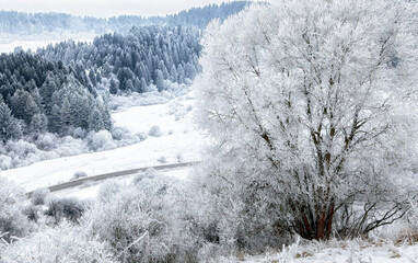 Frosty winter landscape with frozen tree and snow covered valley in soft light