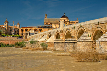 Fototapeta premium Cordoba, Spain. Roman bridge. Mezquita and Alcazar 