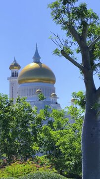 Brunei Darussalam - June 25, 2025: Sultan Omar Ali Saifuddin Mosque in Bandar Seri Begawan. Mosque with baobab trees in the foreground. Mosque facade and dome in sunlight. 4К