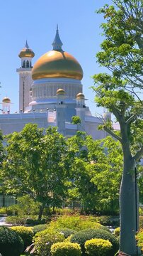 Brunei Darussalam - June 25, 2025: Sultan Omar Ali Saifuddin Mosque in Bandar Seri Begawan. Mosque with baobab trees in the foreground. Mosque facade and dome in sunlight. 4К